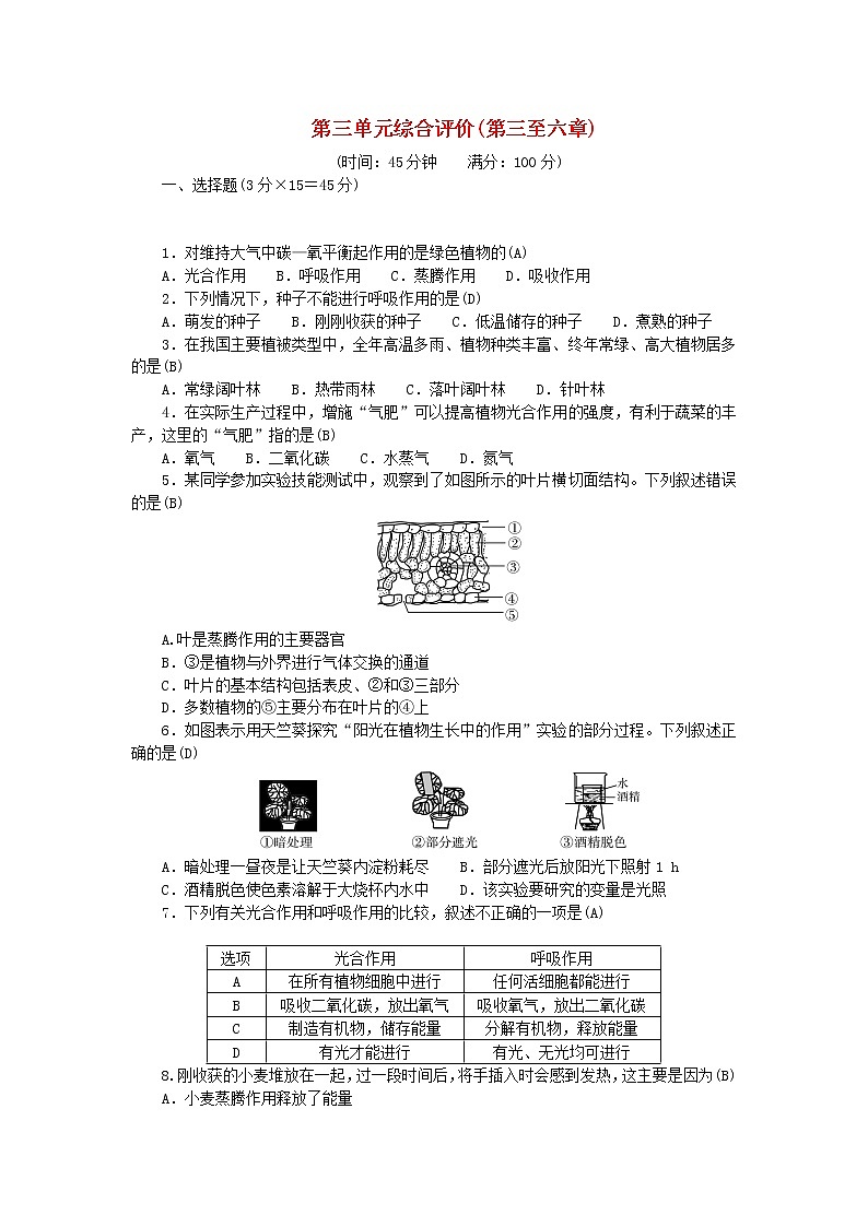 2022七年级生物上册第三单元生物圈中的绿色植物综合评价第三至六章新版新人教版 试卷01