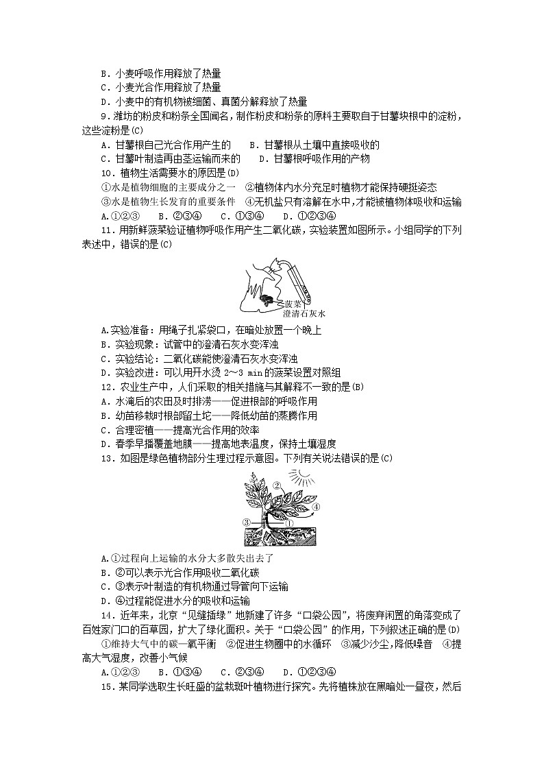 2022七年级生物上册第三单元生物圈中的绿色植物综合评价第三至六章新版新人教版 试卷02