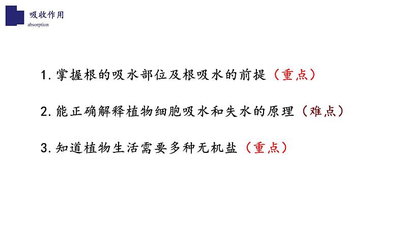 北师大版5.3 吸收作用 课件02