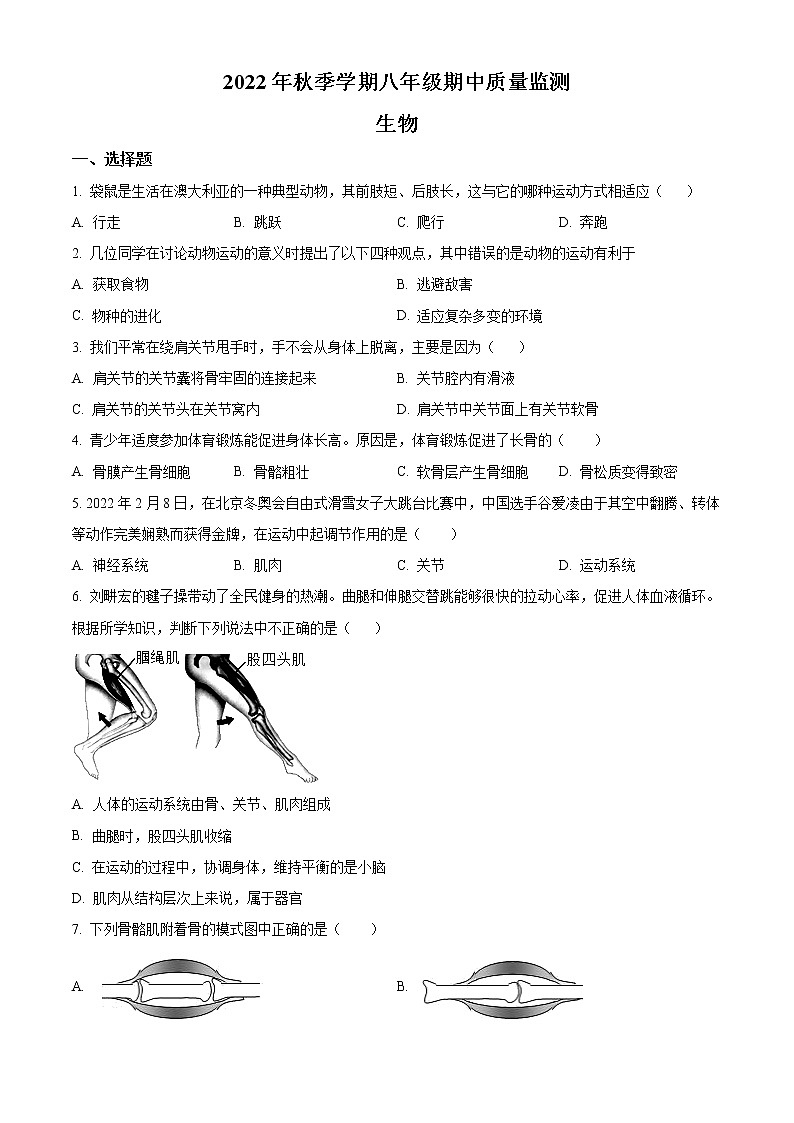 广西崇左市宁明县2022-2023学年八年级上学期期中生物试题(含答案)01