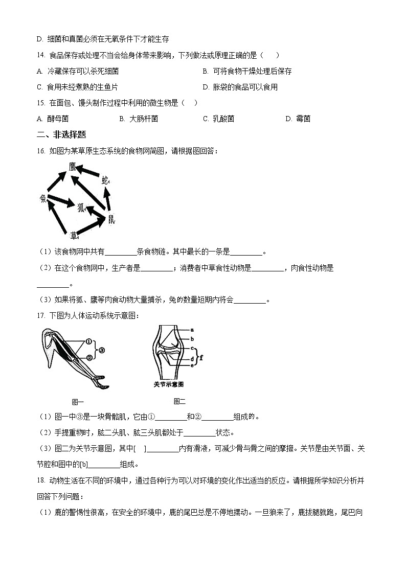 广西崇左市宁明县2022-2023学年八年级上学期期中生物试题(含答案)03