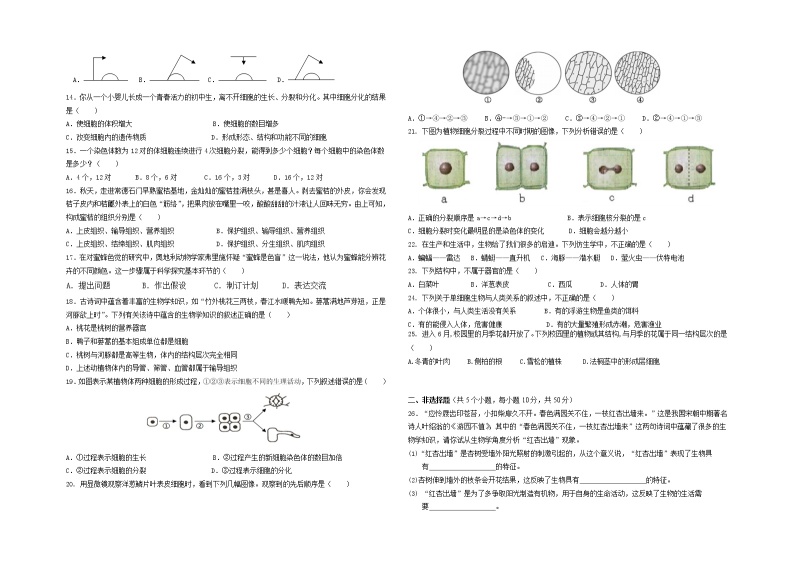 湖南省常德市第三中学2022--2023学年七年级上学期期中考试生物试卷(含答案)02