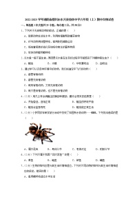 湖南省郴州市永兴县柏林中学2022-2023学年八年级上学期期中生物试卷(含答案)