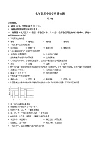 陕西省西安市多校2022-2023学年七年级上学期期中联考生物试题(含答案)