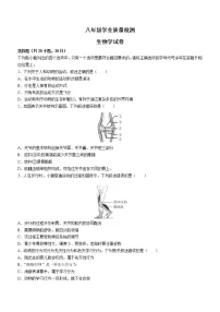 河南省安阳市汤阴县2022-2023学年八年级上学期期中生物试题(含答案)