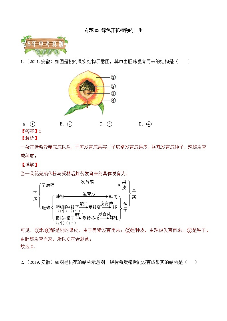 专题03 绿色开花植物的一生-5年(2018-2022)中考1年模拟生物分项汇编(安徽专用)(解析版)第1页
