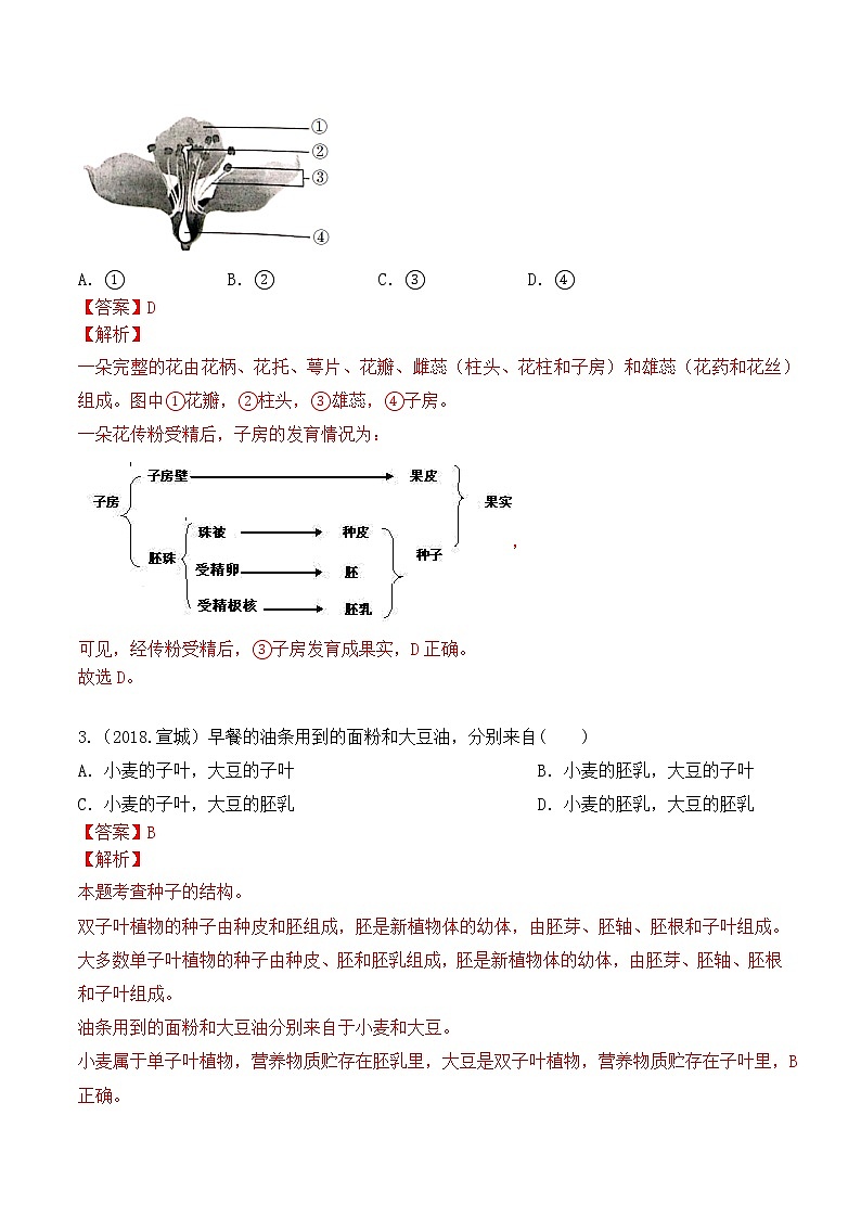 专题03 绿色开花植物的一生-5年(2018-2022)中考1年模拟生物分项汇编(安徽专用)(解析版)第2页