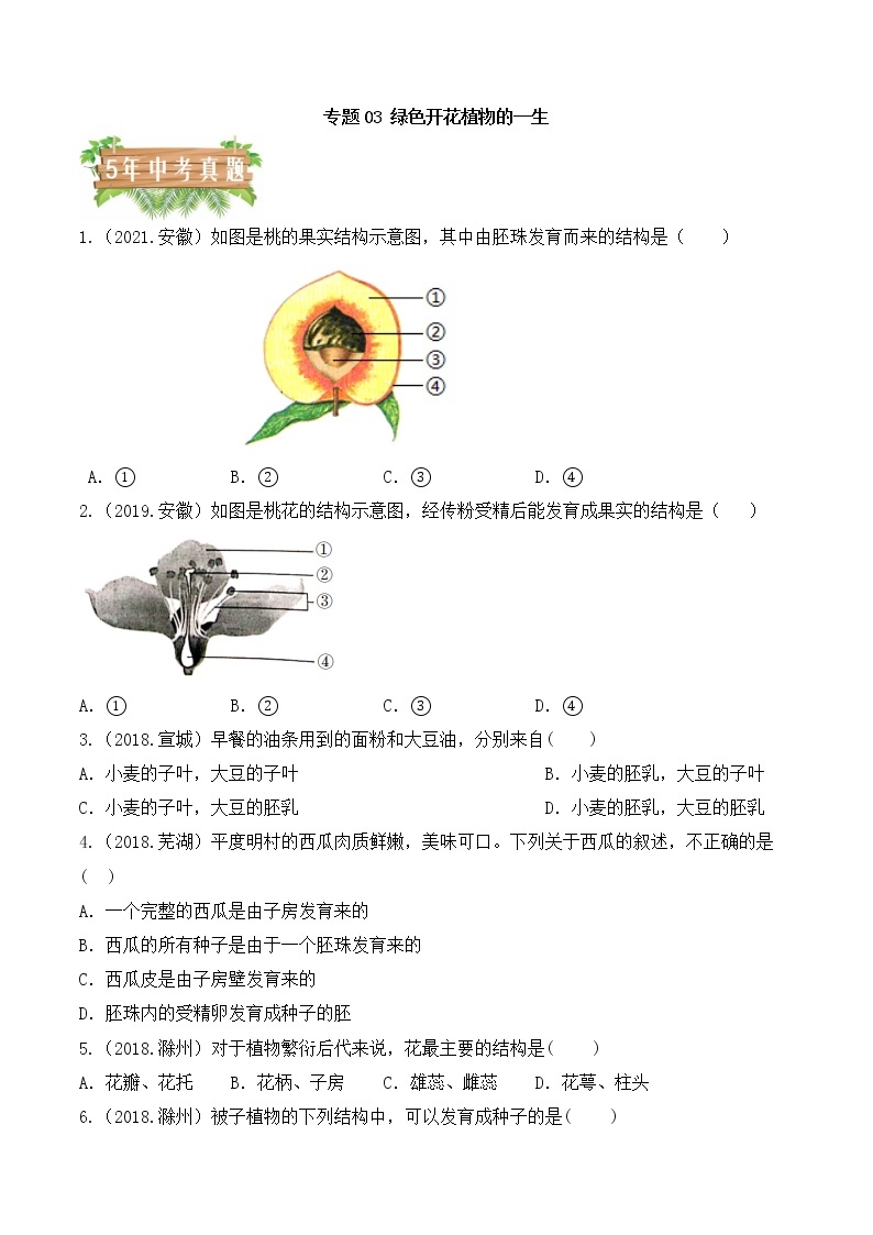 2018-2022年安徽中考生物5年真题1年模拟汇编 专题03 绿色开花植物的一生（学生卷+教师卷）01