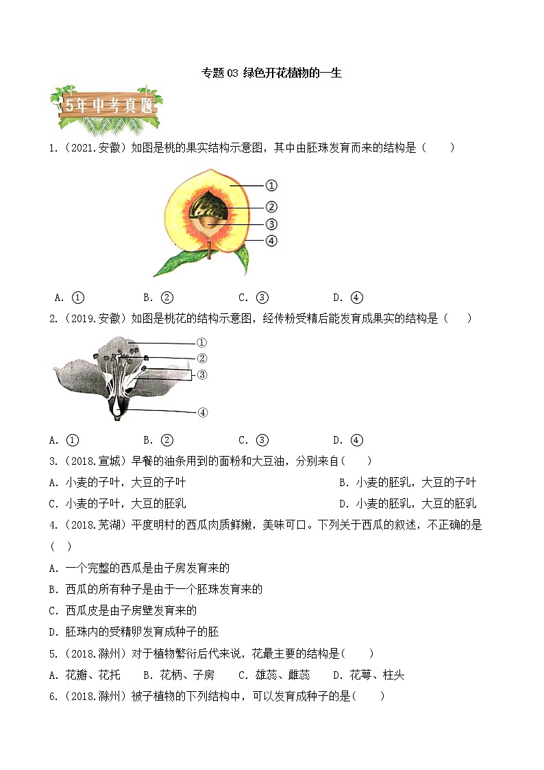 专题03 绿色开花植物的一生-5年(2018-2022)中考1年模拟生物分项汇编(安徽专用)(原卷版)第1页