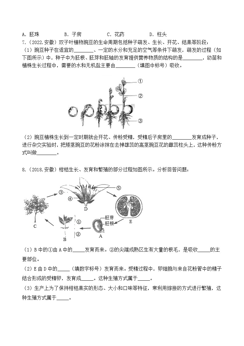 专题03 绿色开花植物的一生-5年(2018-2022)中考1年模拟生物分项汇编(安徽专用)(原卷版)第2页