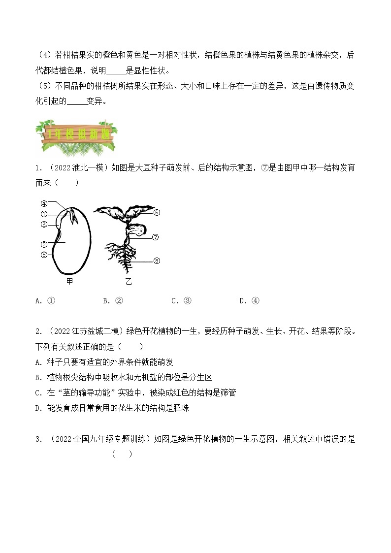 2018-2022年安徽中考生物5年真题1年模拟汇编 专题03 绿色开花植物的一生（学生卷+教师卷）03