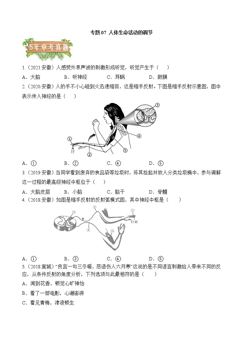 2018-2022年安徽中考生物5年真题1年模拟汇编 专题07 人体生命活动的调节(学生卷+教师卷)01