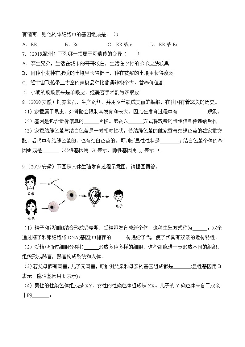 专题12 生物的遗传和变异-5年(2018-2022)中考1年模拟生物分项汇编(安徽专用)(原卷版)第2页