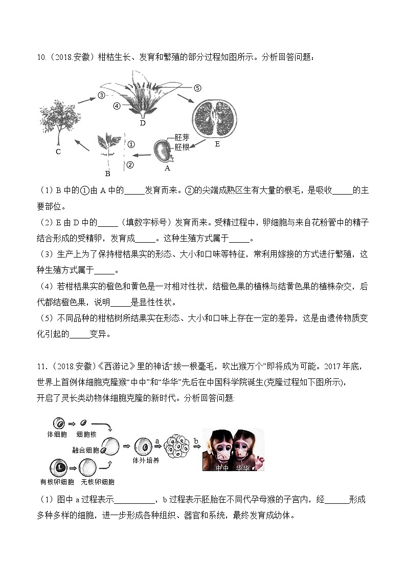 专题12 生物的遗传和变异-5年(2018-2022)中考1年模拟生物分项汇编(安徽专用)(原卷版)第3页