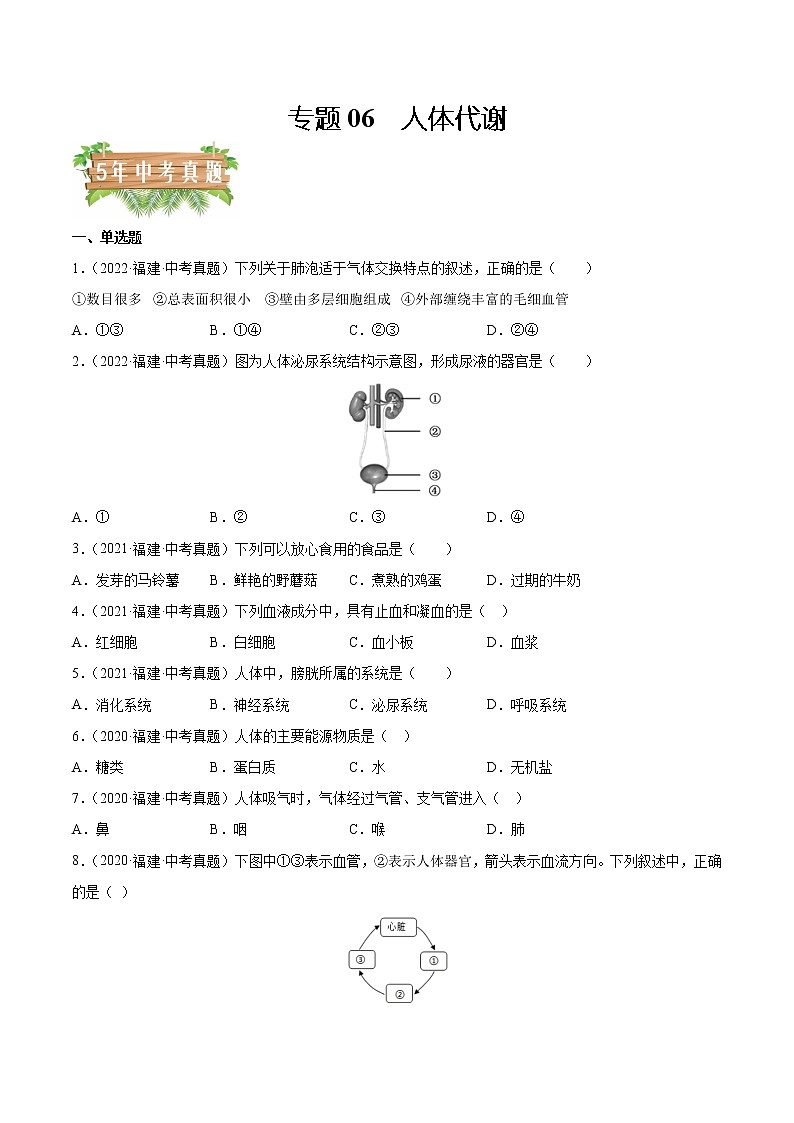 2018-2022年福建中考生物5年真题1年模拟汇编 专题06 人体代谢(消化、呼吸、循环、泌尿)(学生卷+教师卷)01