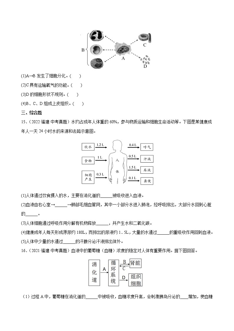 2018-2022年福建中考生物5年真题1年模拟汇编 专题06 人体代谢(消化、呼吸、循环、泌尿)(学生卷+教师卷)03