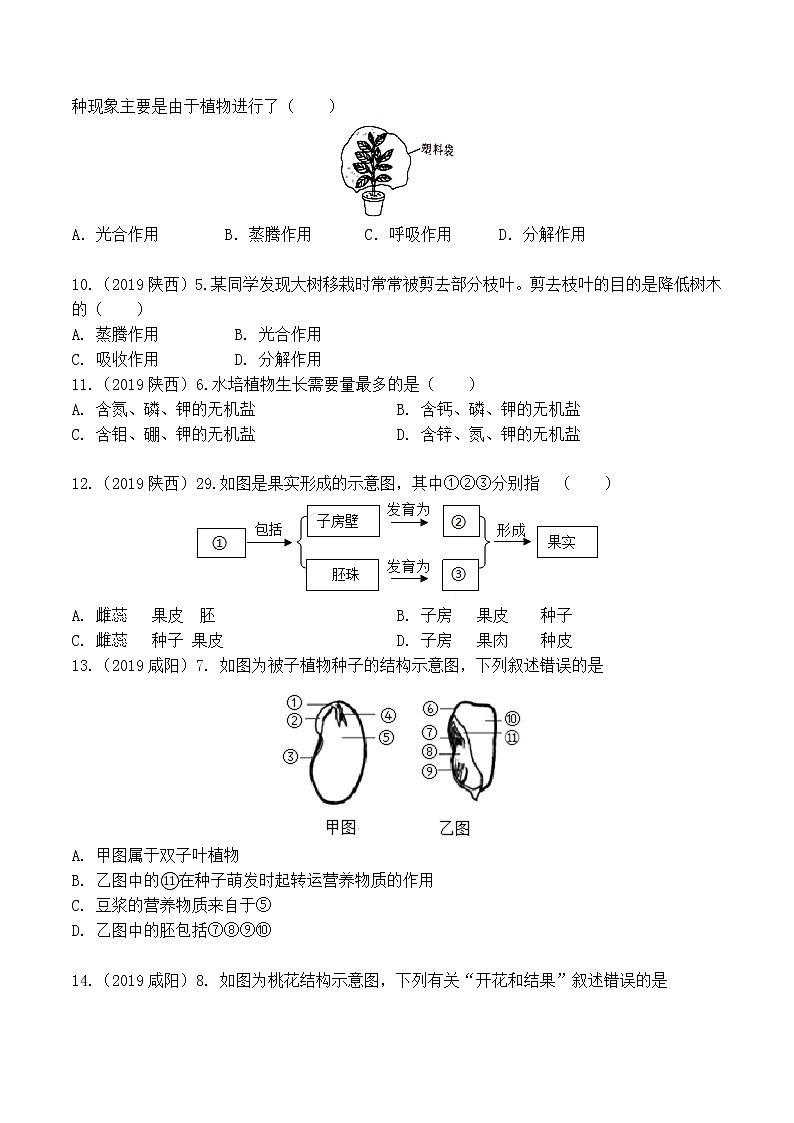 专题03 生物圈中的绿色植物-5年(2018-2022)中考1年模拟生物分项汇编(陕西专用)(原卷版)第3页
