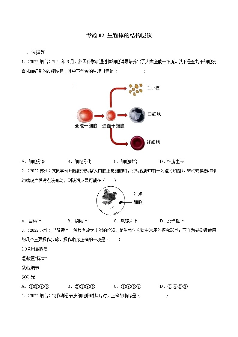 专题02 生物体的结构层次-三年(2020-2022)中考生物真题分项汇编(全国通用)(原卷版)第1页