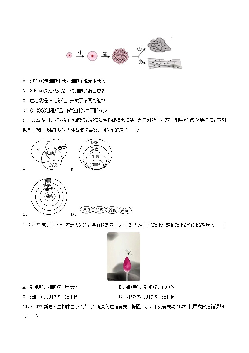专题02 生物体的结构层次-三年(2020-2022)中考生物真题分项汇编(全国通用)(原卷版)第3页