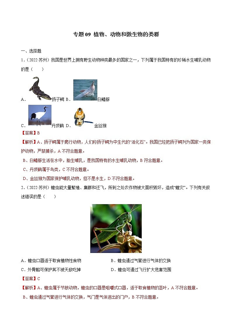 2020-2022年全国中考生物3年真题汇编 专题09 植物、动物和微生物的类群(学生卷+教师卷)01