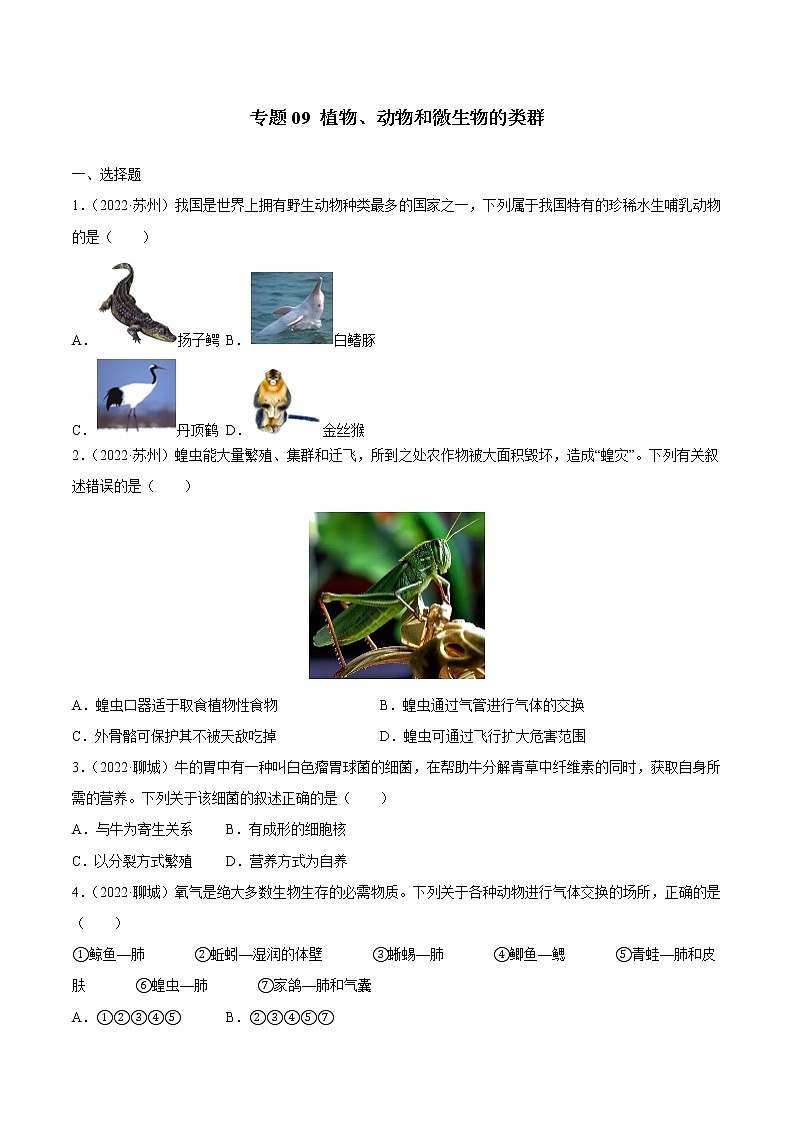 2020-2022年全国中考生物3年真题汇编 专题09 植物、动物和微生物的类群(学生卷+教师卷)01