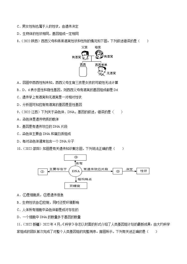 专题12 生物的遗传和变异-三年(2020-2022)中考生物真题分项汇编(全国通用)(原卷版)第3页