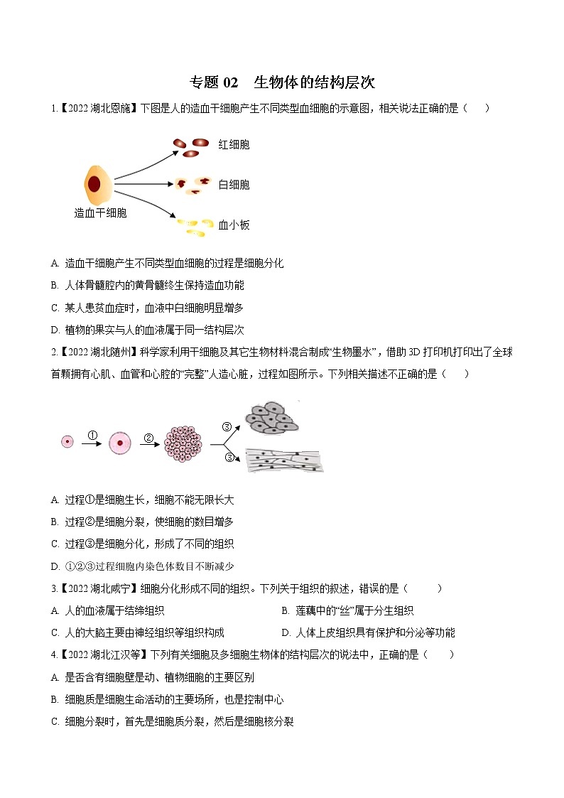 专题02 生物体的结构层次-三年(2020-2022)中考生物真题分项汇编(湖北专用)(原卷版)第1页