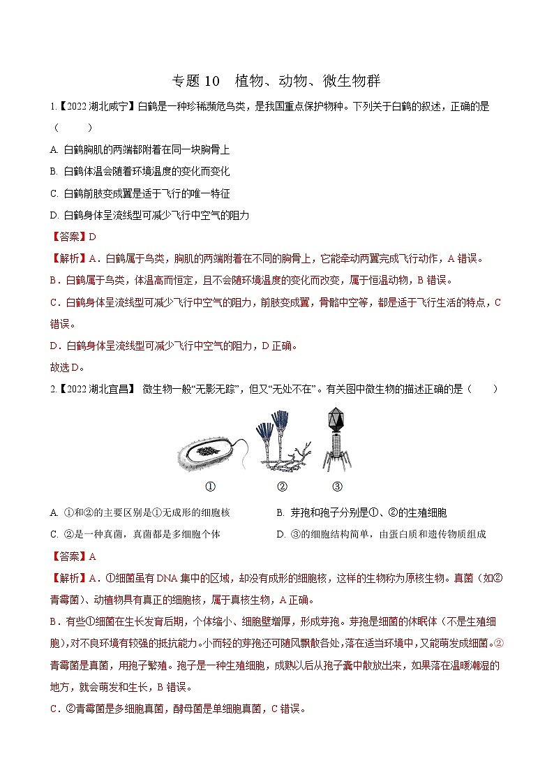 2020-2022年湖北中考生物3年真题汇编 专题10 植物、动物、微生物群(学生卷+教师卷)01