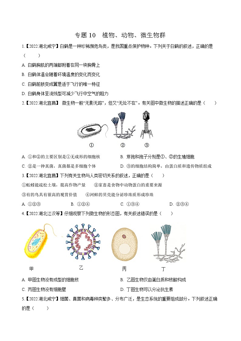 2020-2022年湖北中考生物3年真题汇编 专题10 植物、动物、微生物群(学生卷+教师卷)01