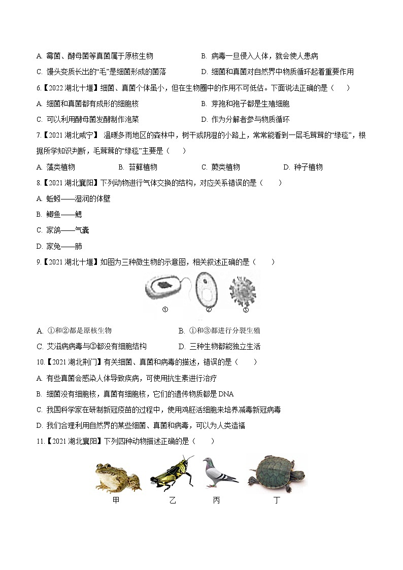 2020-2022年湖北中考生物3年真题汇编 专题10 植物、动物、微生物群(学生卷+教师卷)02