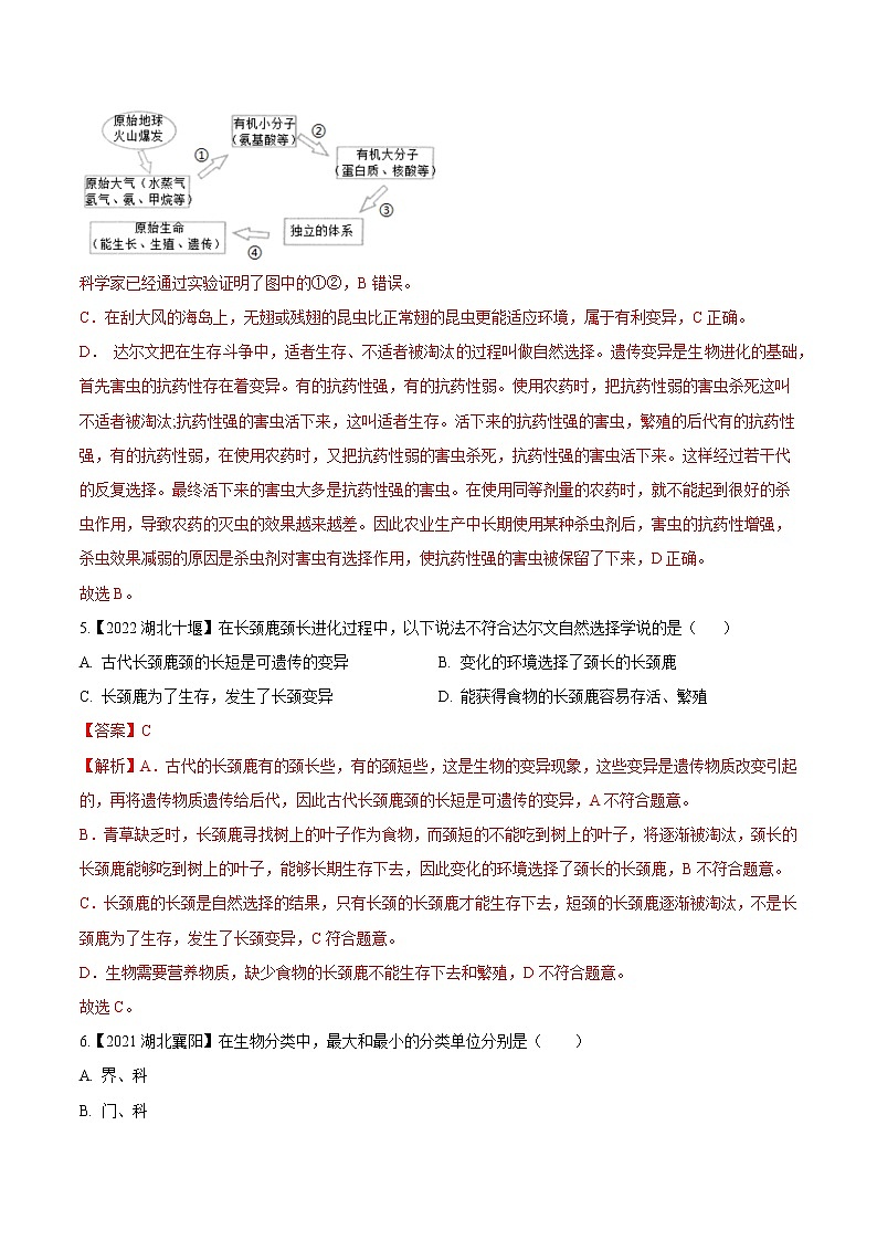 2020-2022年湖北中考生物3年真题汇编 专题11 生物的分类、进化、多样性保护(学生卷+教师卷)03