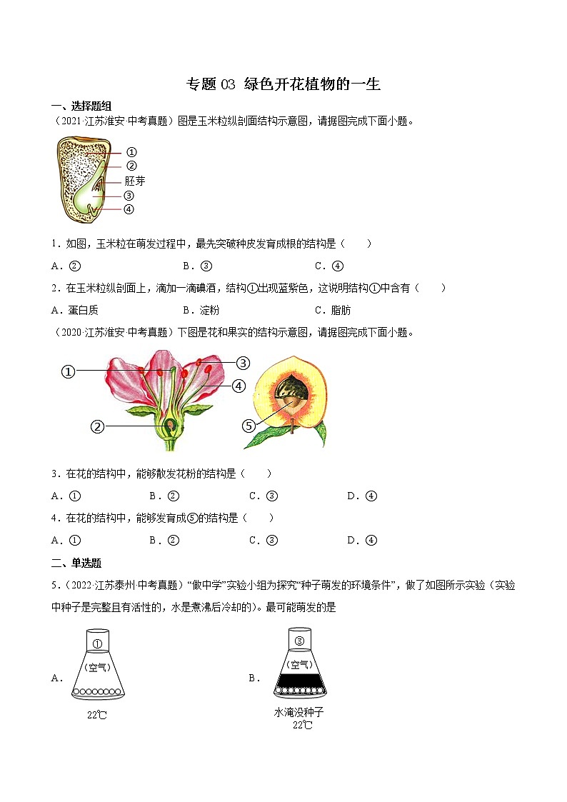 2020-2022年江苏中考生物3年真题汇编 专题03 绿色开花植物的一生(学生卷+教师卷)01