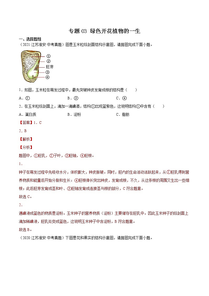 2020-2022年江苏中考生物3年真题汇编 专题03 绿色开花植物的一生(学生卷+教师卷)01