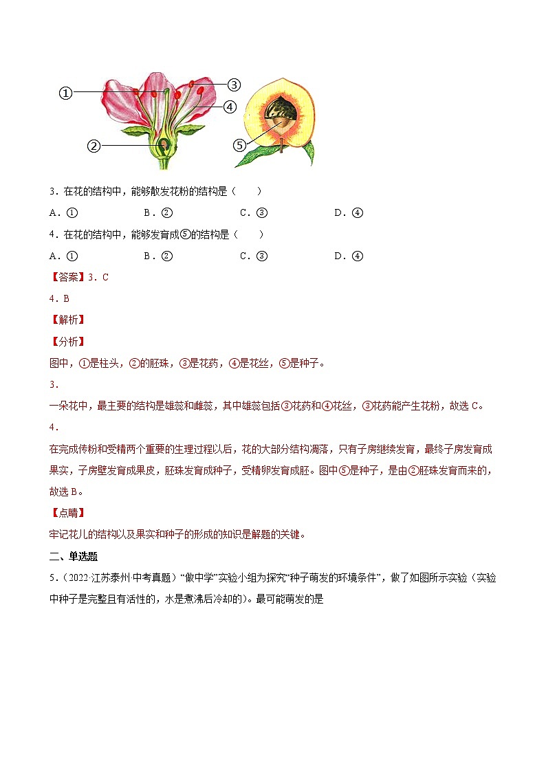 2020-2022年江苏中考生物3年真题汇编 专题03 绿色开花植物的一生(学生卷+教师卷)02