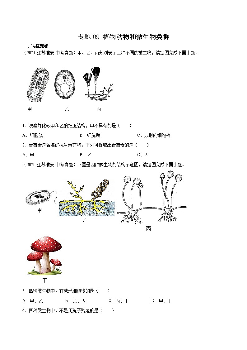 2020-2022年江苏中考生物3年真题汇编 专题09 植物动物和微生物类群(学生卷+教师卷)01
