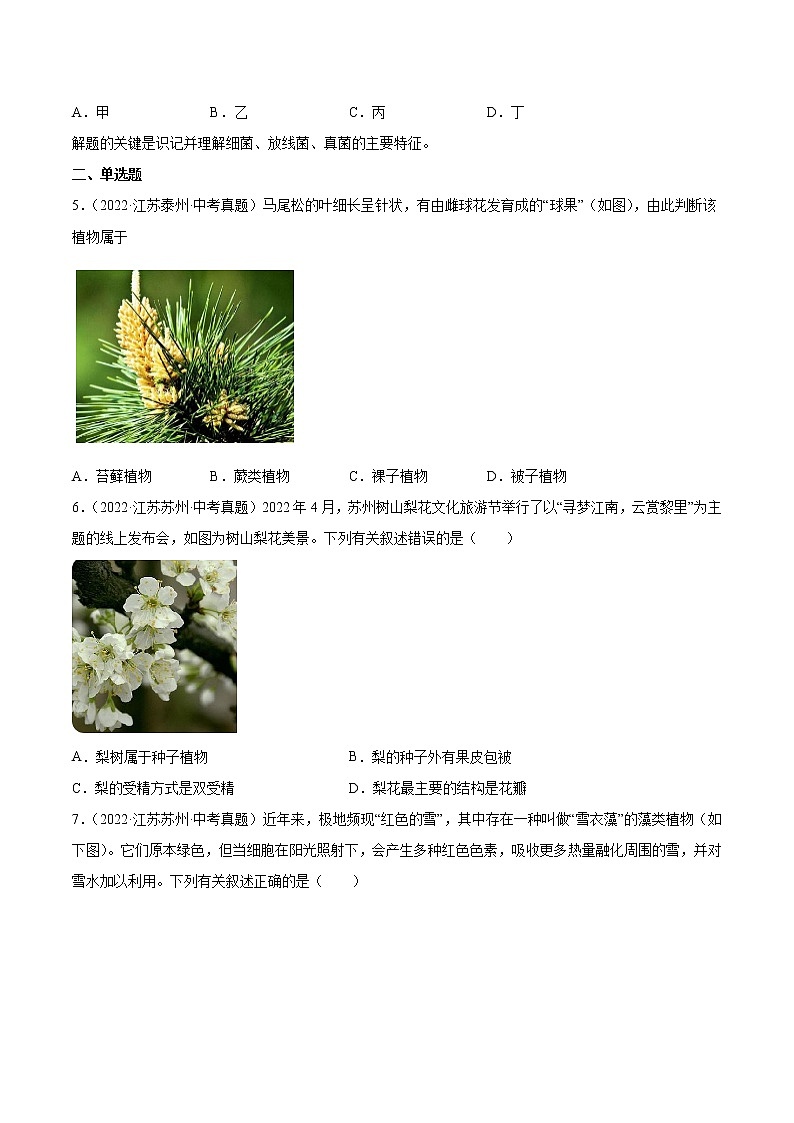 2020-2022年江苏中考生物3年真题汇编 专题09 植物动物和微生物类群(学生卷+教师卷)02