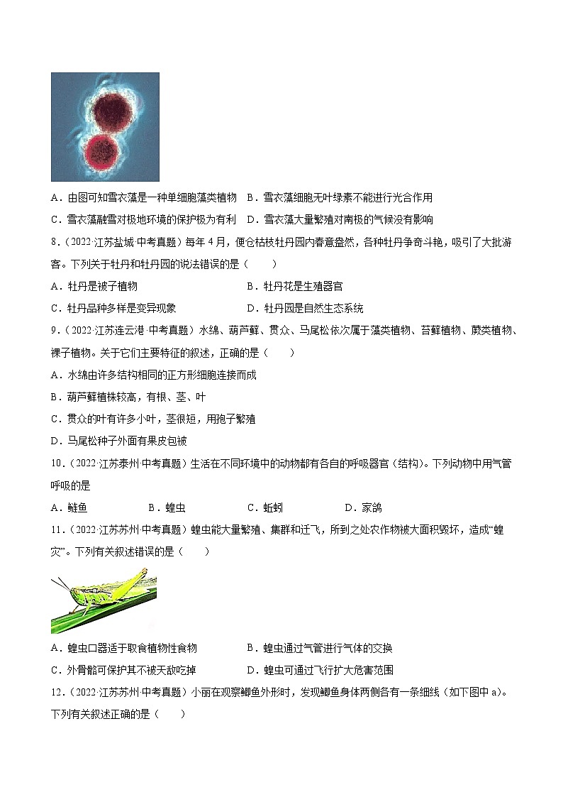 2020-2022年江苏中考生物3年真题汇编 专题09 植物动物和微生物类群(学生卷+教师卷)03