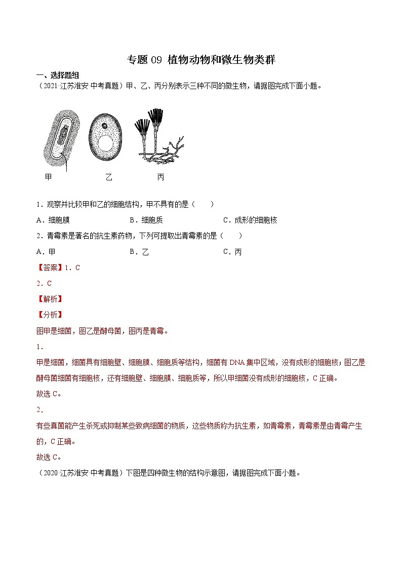 2020-2022年江苏中考生物3年真题汇编 专题09 植物动物和微生物类群(学生卷+教师卷)01