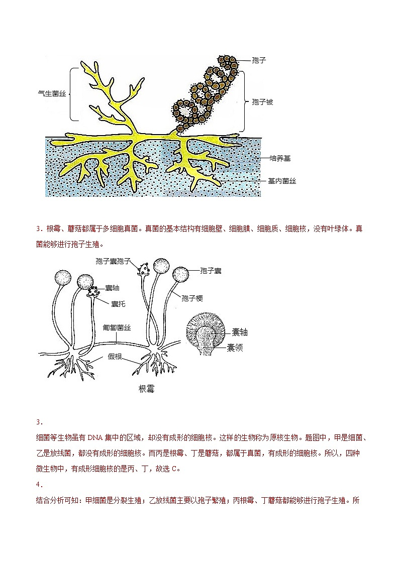 2020-2022年江苏中考生物3年真题汇编 专题09 植物动物和微生物类群(学生卷+教师卷)03