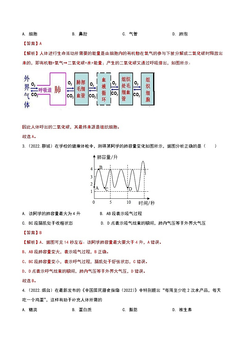 专题05 人体的营养和呼吸-三年(2020-2022)中考生物真题分项汇编(山东专用)(解析版)第2页