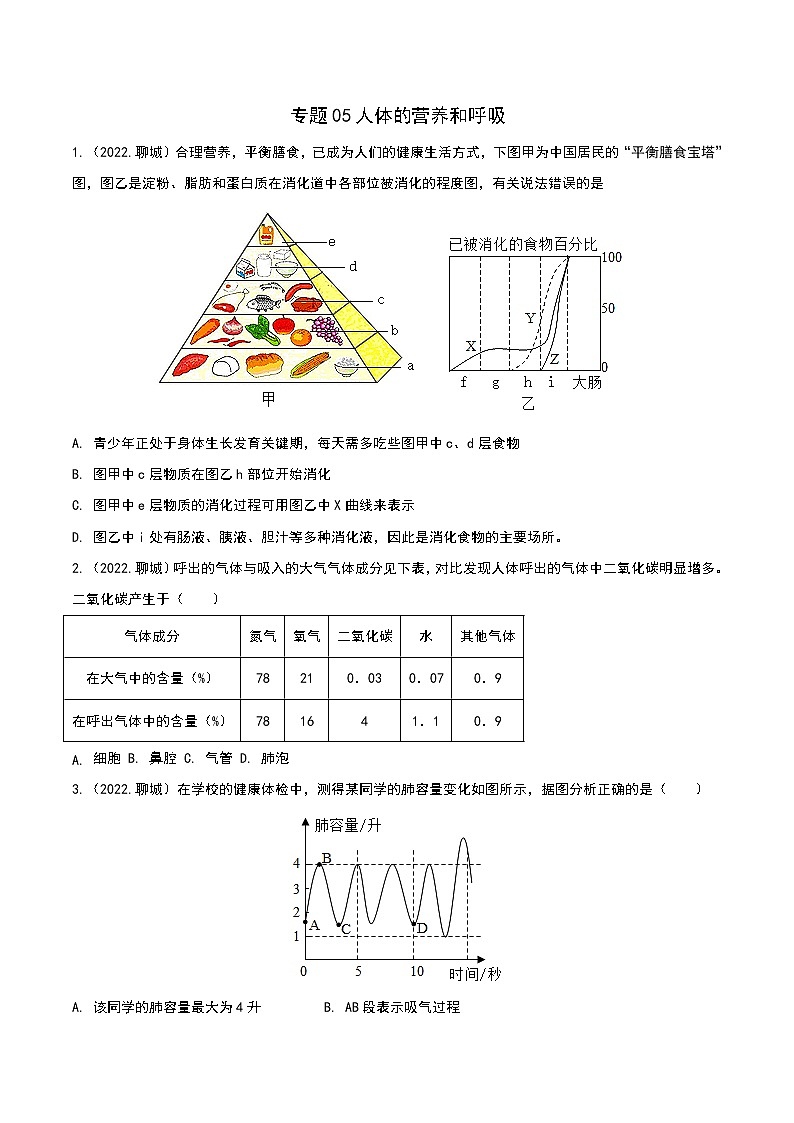 专题05 人体的营养和呼吸-三年(2020-2022)中考生物真题分项汇编(山东专用)(原卷版)第1页