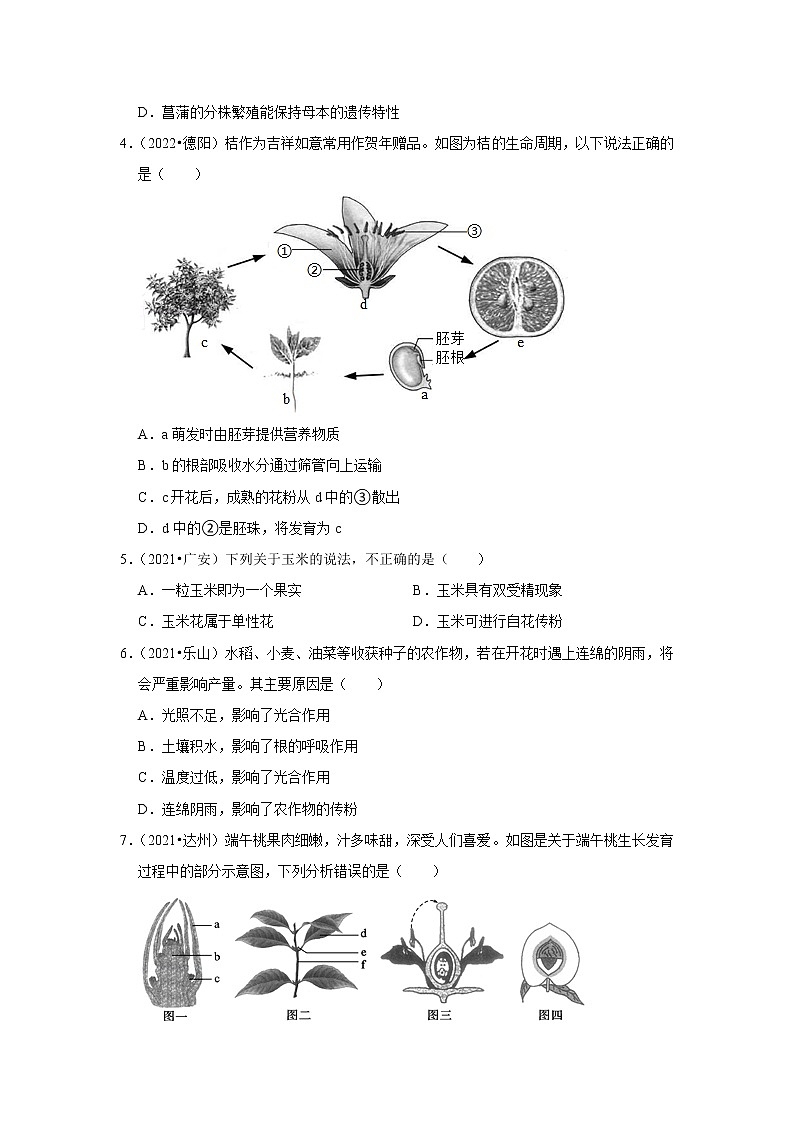 专题03 绿色开花植物的一生-三年(2020-2022)中考生物真题分项汇编(四川专用)(原卷版)第2页