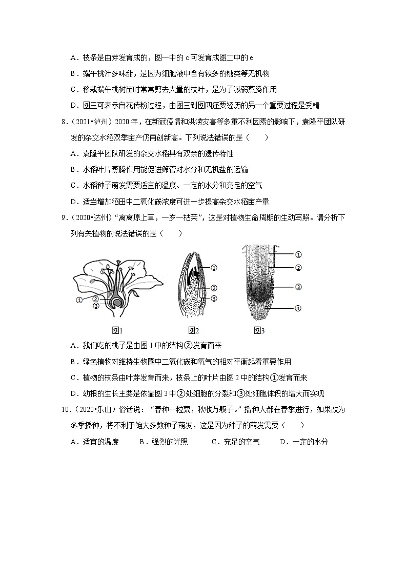 专题03 绿色开花植物的一生-三年(2020-2022)中考生物真题分项汇编(四川专用)(原卷版)第3页