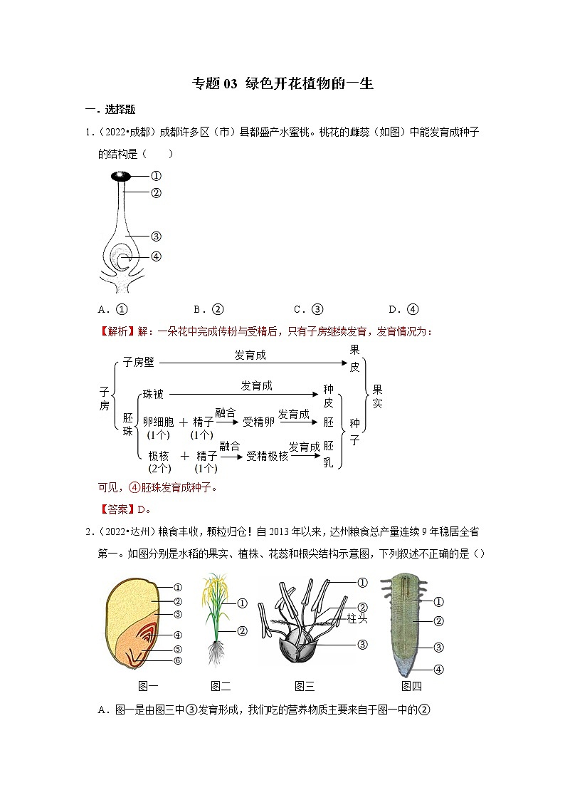 专题03 绿色开花植物的一生-三年(2020-2022)中考生物真题分项汇编(四川专用)(解析版)第1页