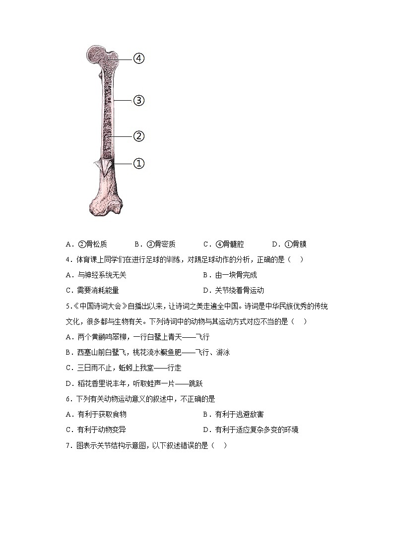 广东省惠州市惠东县第五片区2022-2023学年八年级上学期期中生物试题(含答案)第2页