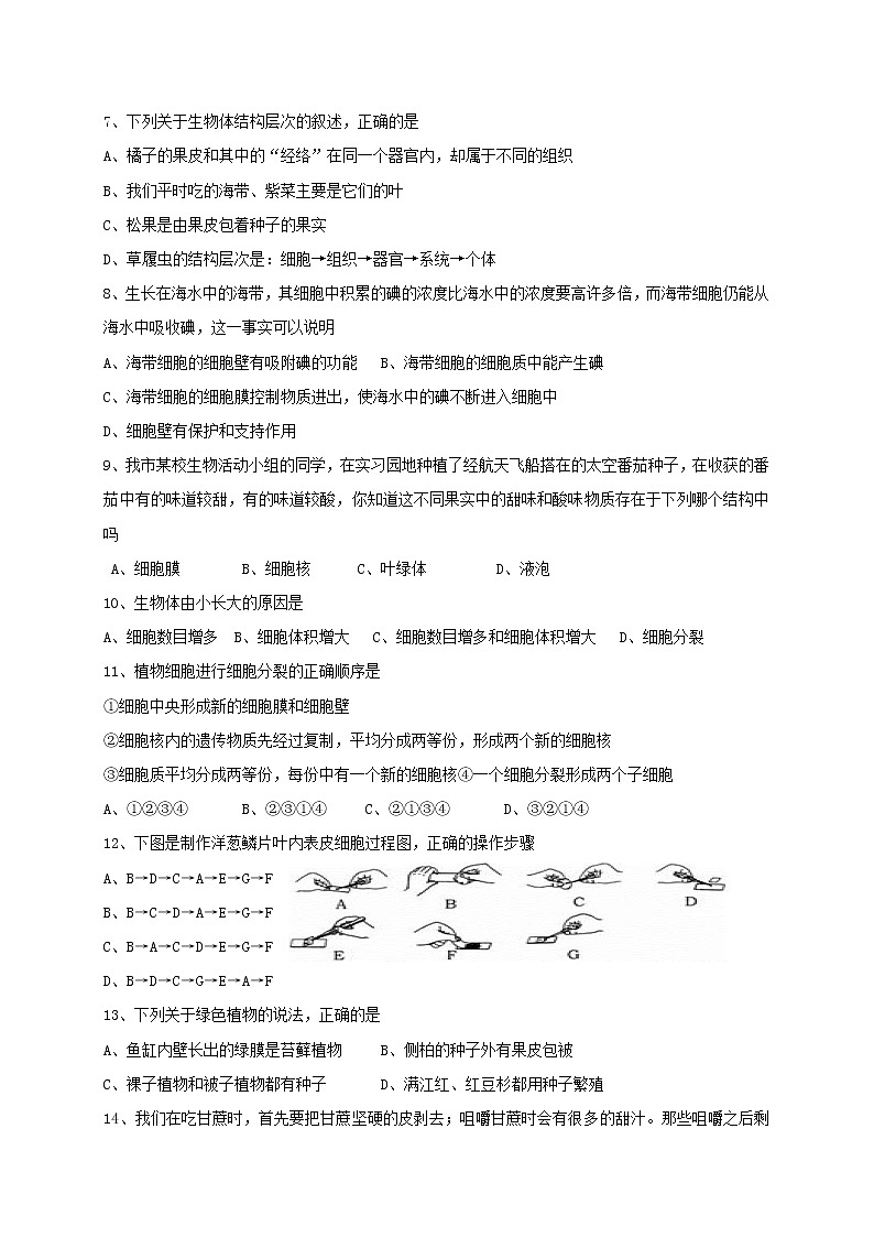 四川省内江市威远县凤翔中学2022-2023学年七年级上学期期中考试生物试题(含答案)02