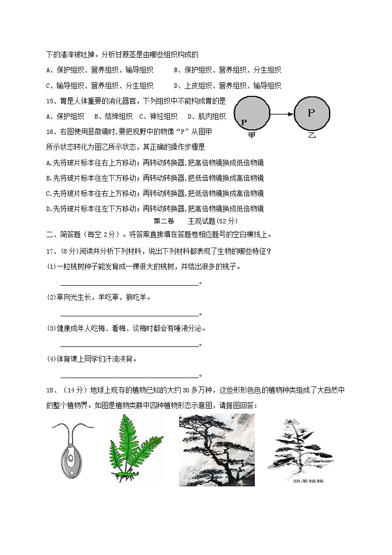 四川省内江市威远县凤翔中学2022-2023学年七年级上学期期中考试生物试题(含答案)03