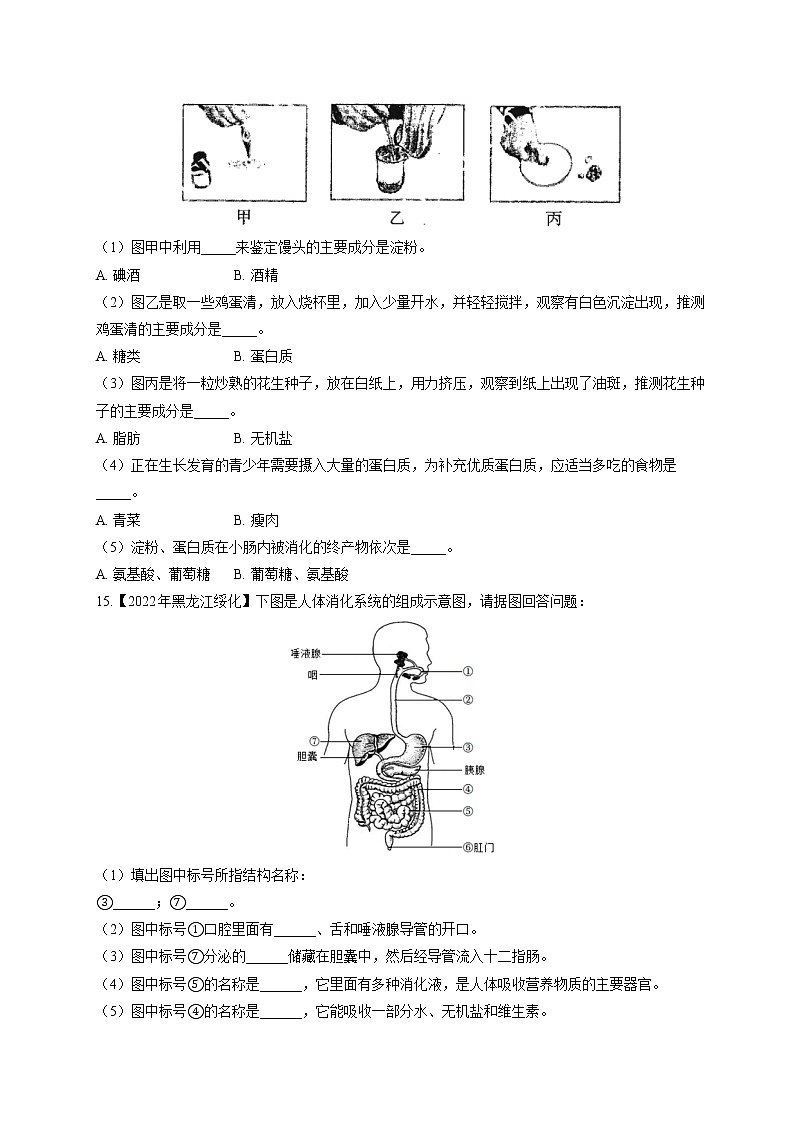 (5)人体的营养——2022年中考生物真题专项汇编第3页