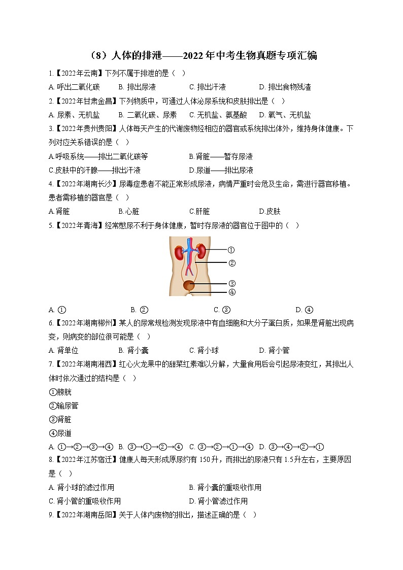 (8)人体的排泄——2022年中考生物真题专项汇编第1页