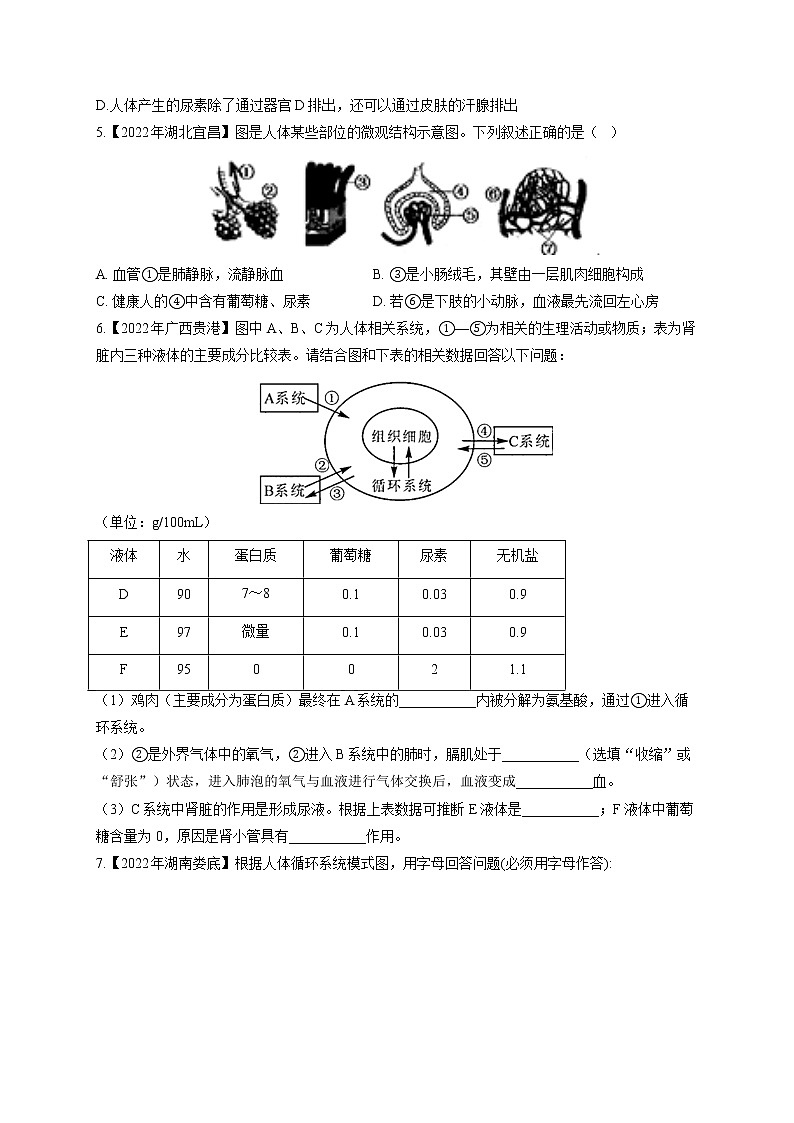 (9)人体消化、呼吸、循环、泌尿系统综合题——2022年中考生物真题专项汇编02